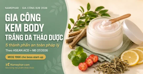 Gia công kem body trắng da thảo dược MOQ 1000 cho boss start-up 2026 - 5 thành phần an toàn