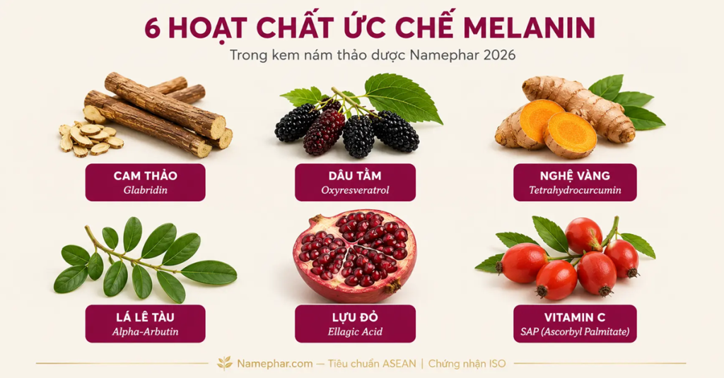 6 hoạt chất thảo dược ức chế melanin trong kem nám — cam thảo, dâu tằm, nghệ, alpha-arbutin, lựu đỏ