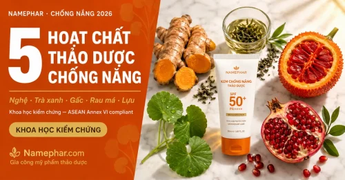 Nghệ, trà xanh, gấc, rau má, lựu — 5 hoạt chất thảo dược chống nắng tự nhiên khoa học kiểm chứng — gia công mỹ phẩm Namephar