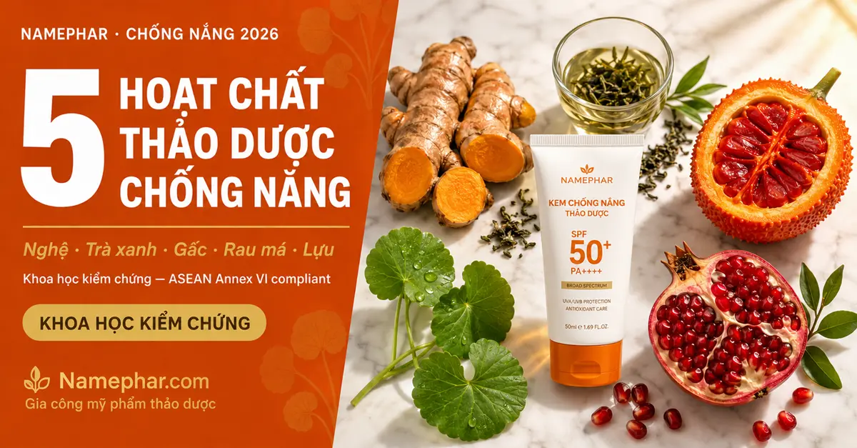 Nghệ, trà xanh, gấc, rau má, lựu — 5 hoạt chất thảo dược chống nắng tự nhiên khoa học kiểm chứng — gia công mỹ phẩm Namephar