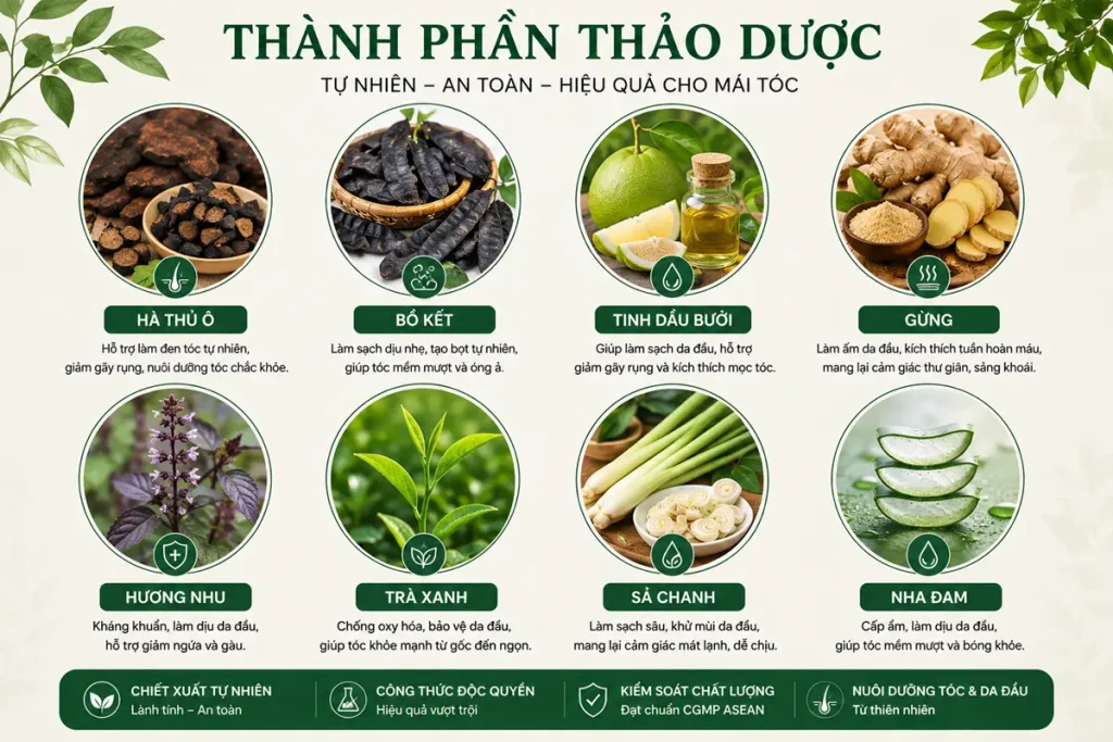 Các thành phần thảo dược làm dầu gội 